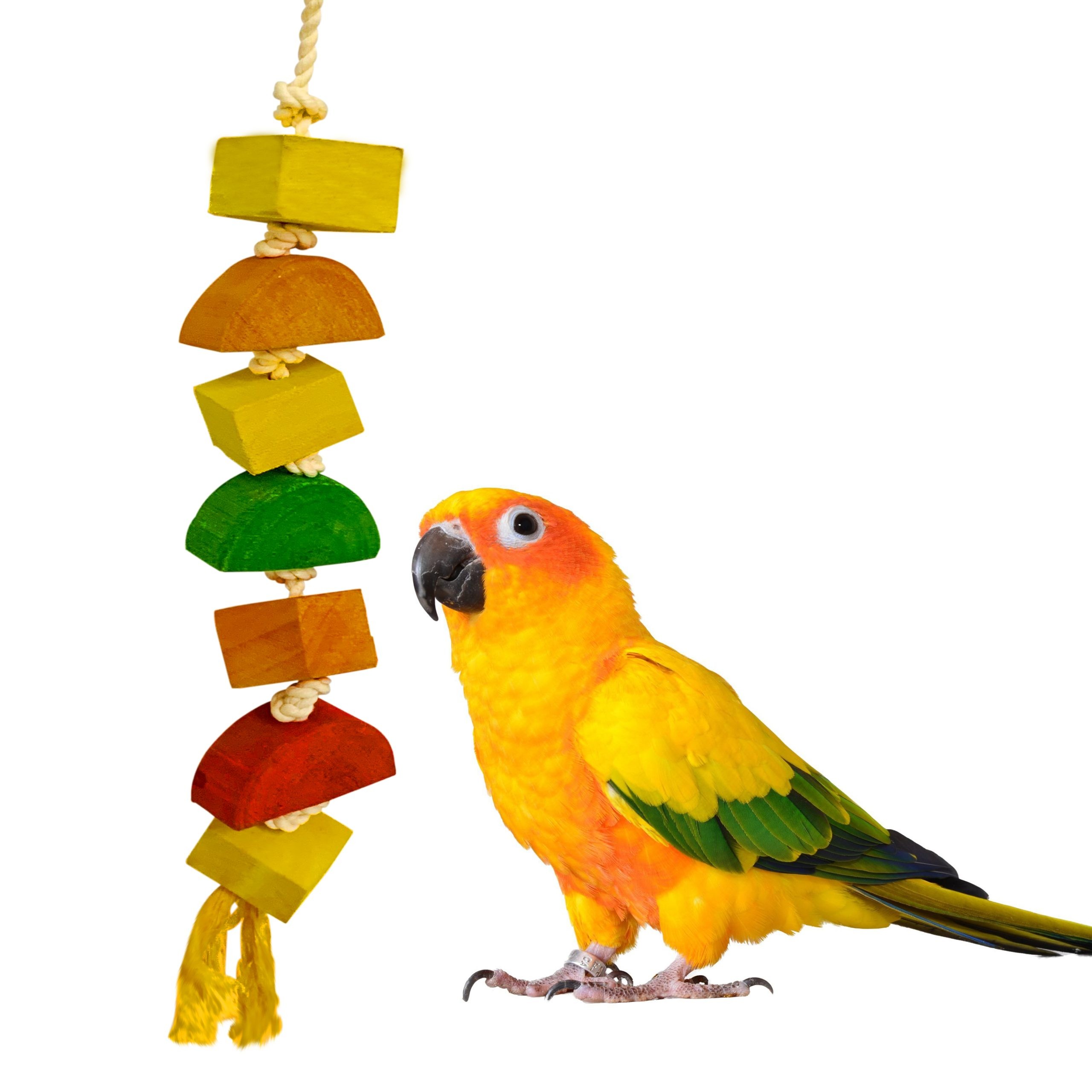 BUYITNOW Parrot Wooden Chew Toys Colorful Ferris Wheel Birds Cage Toy 