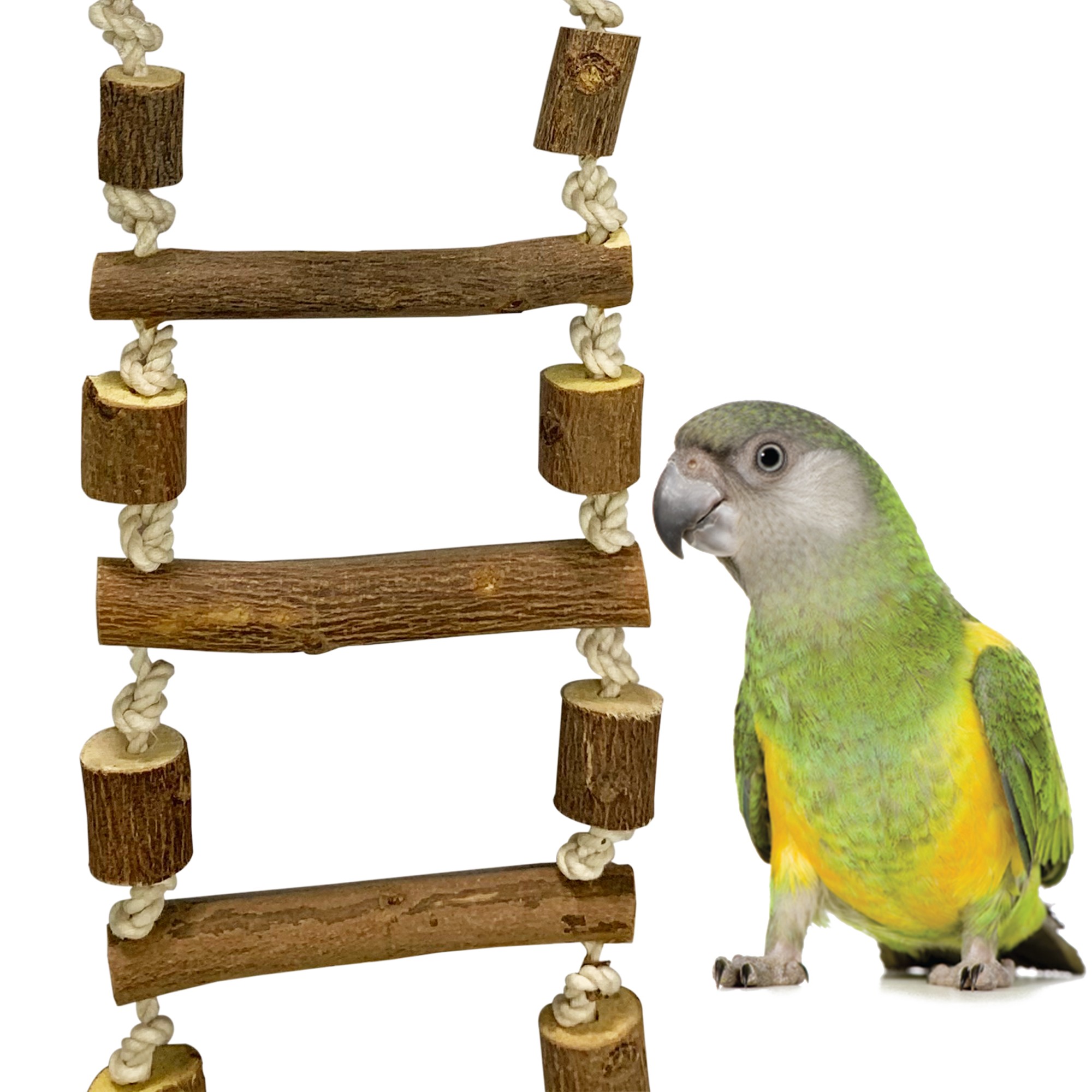 TOPINCN Natural Wood Climbing Ladder Toy Colorful Natural Wood Beads Climbing Ladder Toy Parakeet Swing Bird Toy with Hanging Hook 