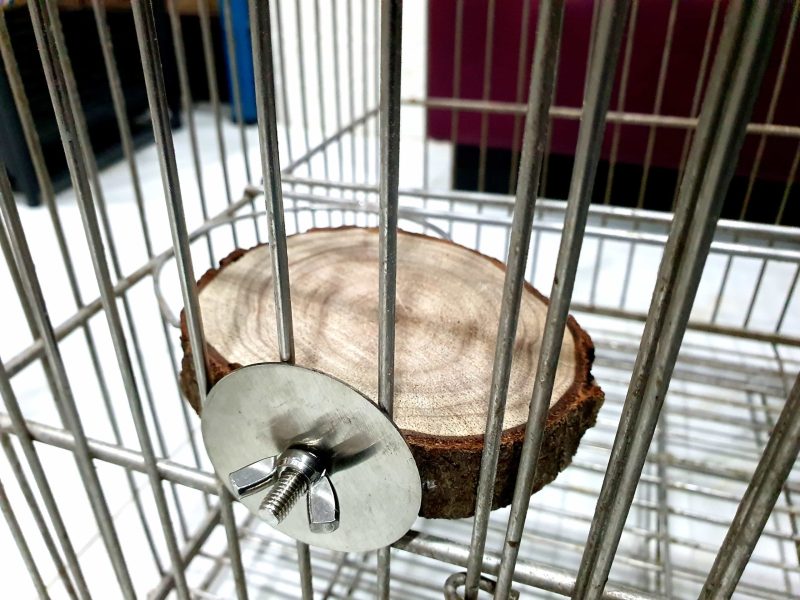 Big Round Wooden Stand