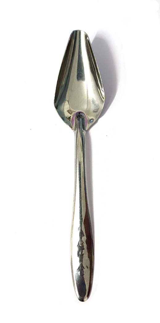 Birds Handfeeding Spoon 12 cms Stainless Steel for Pet Baby Bird Food & Water Feeding (Pack of 1)
