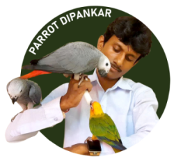 Parrot Dipankar Store