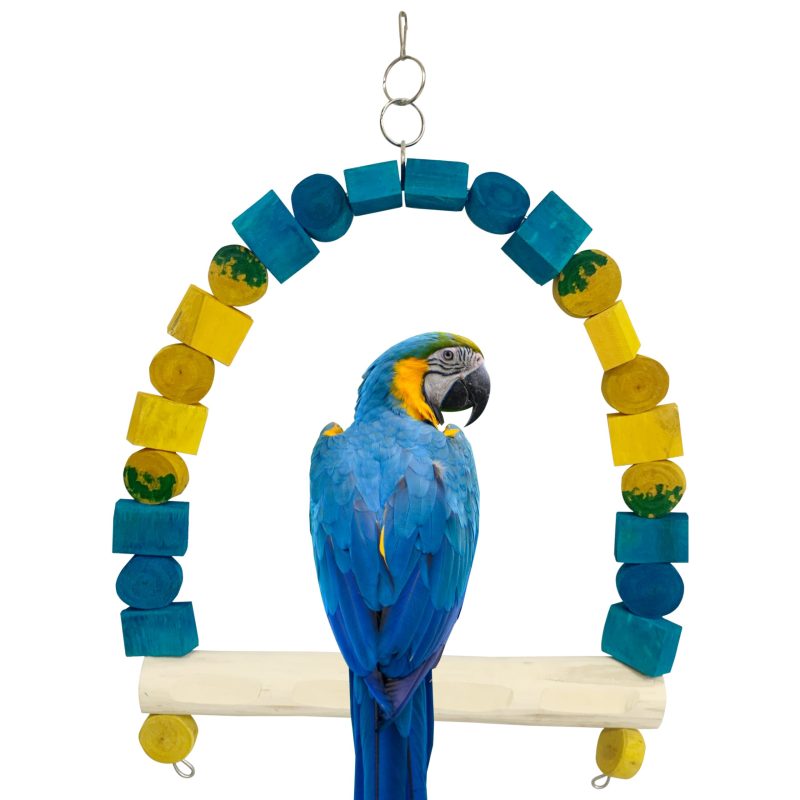 BLUE AND GOLD MACAW SWING