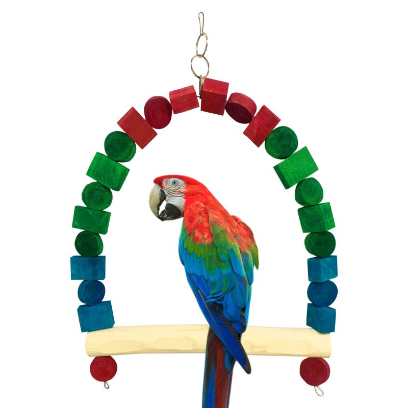 MACAW GREEN WING SWING