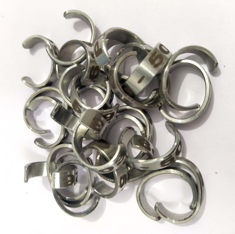 Blue & Gold Macaw Bird Stainless Steel Cut Ring-1pic