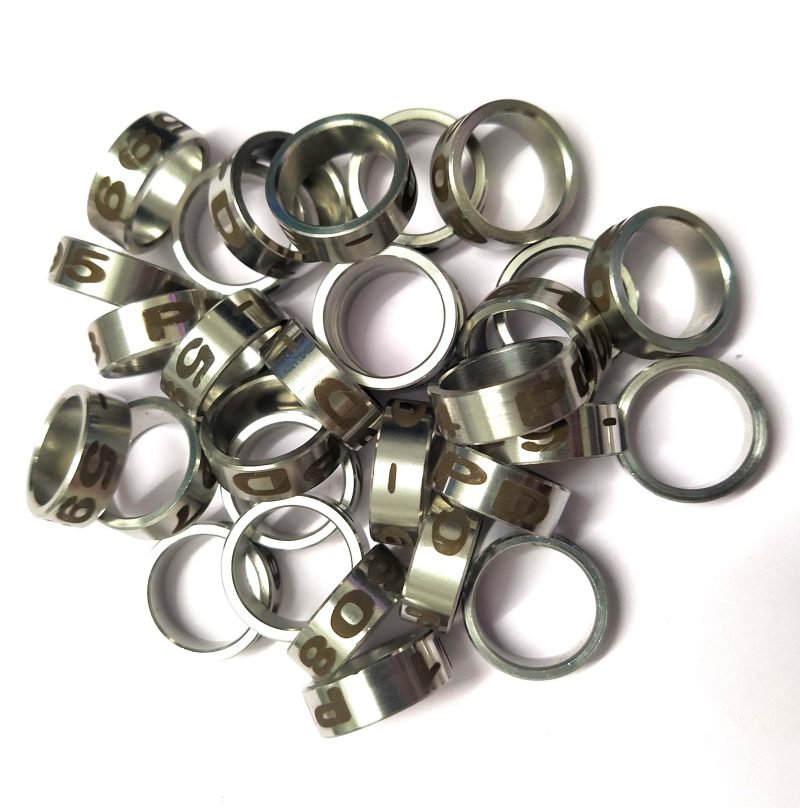 Green Wing Macaw Bird Stainless Steel Close Ring-1piece