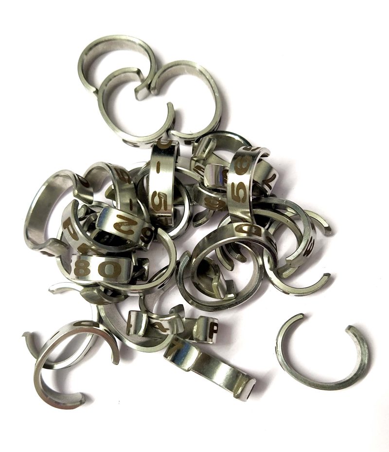 Green Wing Macaw Bird Stainless Steel Cut Ring-1Piece