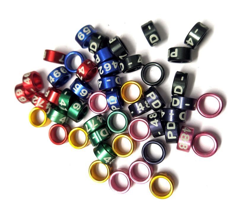 Sun Conure Bird Multi Color Close Ring-1 Pcs