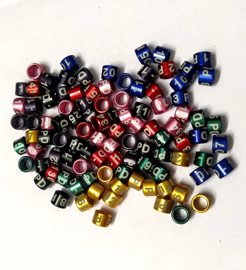 African Love Bird Aluminum Close Ring -1Pic