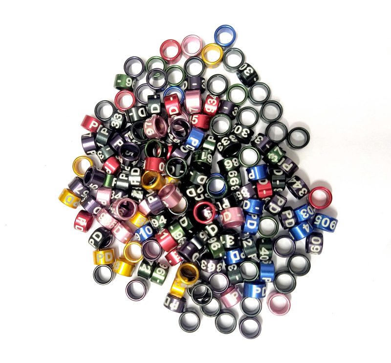 Cockatiel & Small Conure Bird Close Ring-1Piece