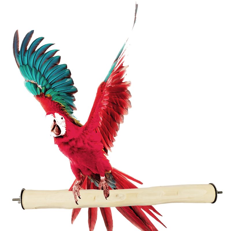 MACAW PERCH Natural