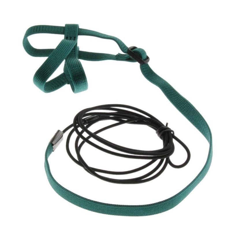 SUN CONURE BIRDS HARNESS WITH LEASH