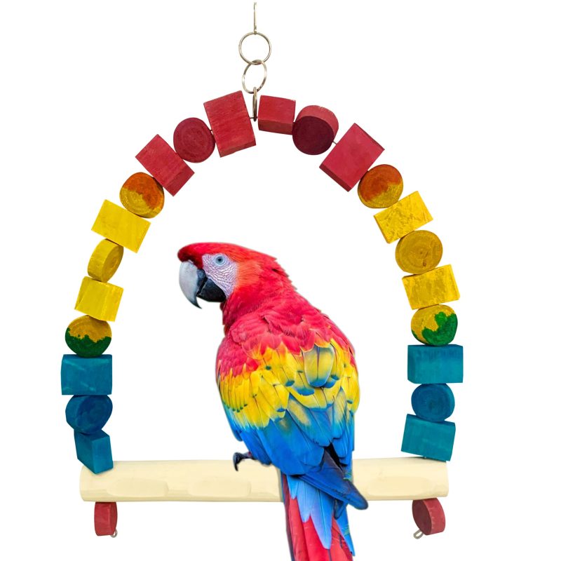 MACAW SCARLET SWING COLOUR