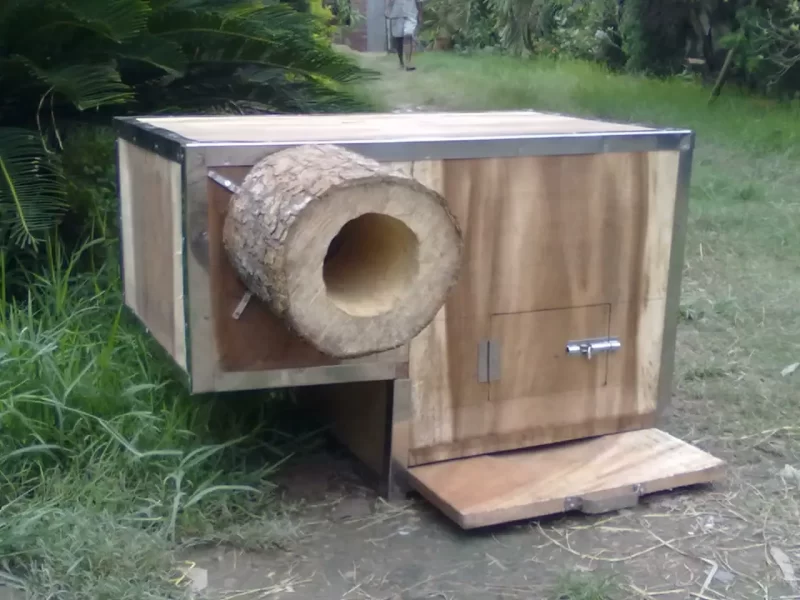 African Grey Parrot, Amazon Parrots,Eclectus Parrot