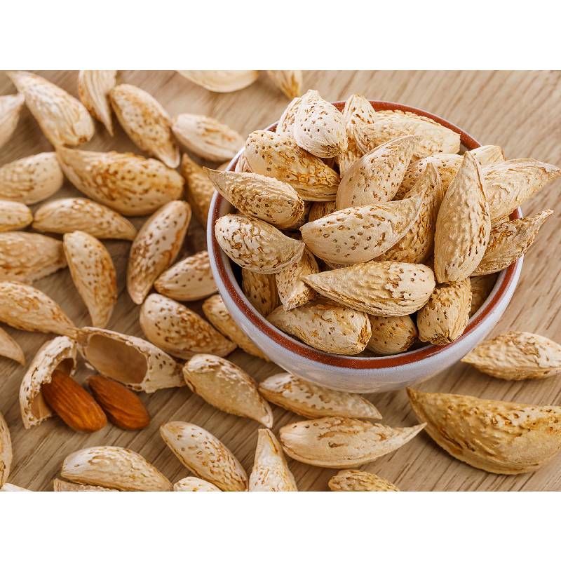 Almond with shell for birds food-450gm