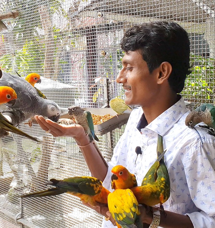 parrot dipankar