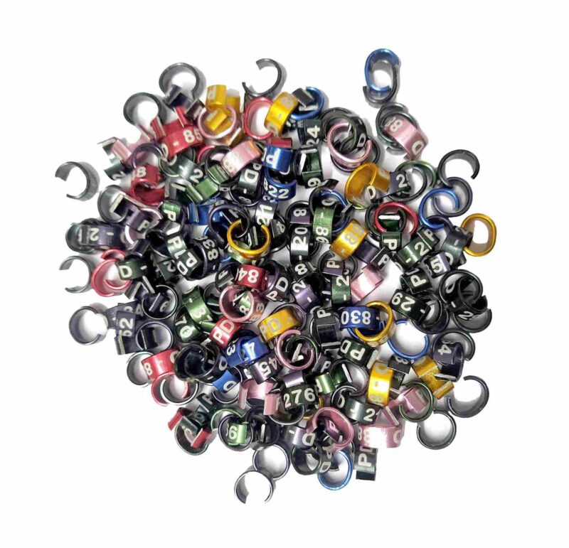 Cockatiel & Small Conure Bird Cut Ring-1Piece