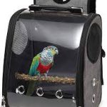 Beautiful Parrot Bag pack