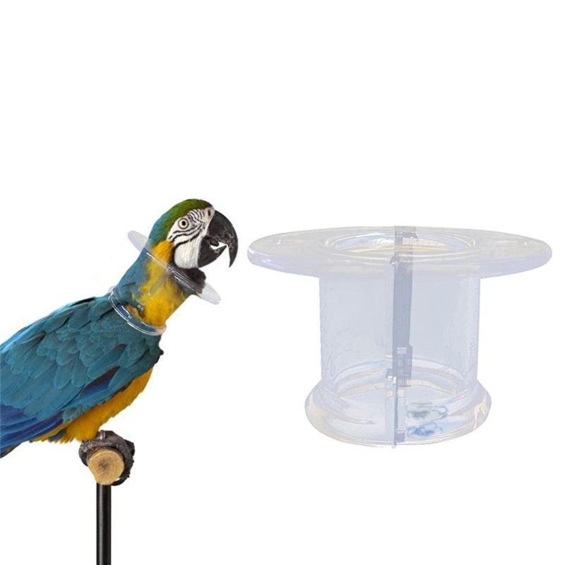 Bird Collar  Prevent Feather Plucking-Large Parrot