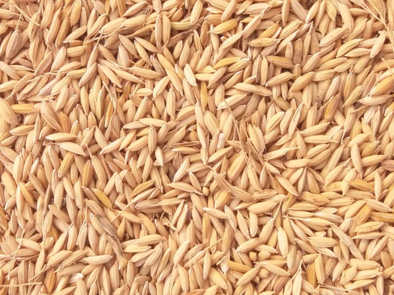 Paddy Bird Seeds-950gm