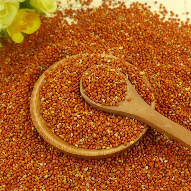 Red millet bird seeds-950gm