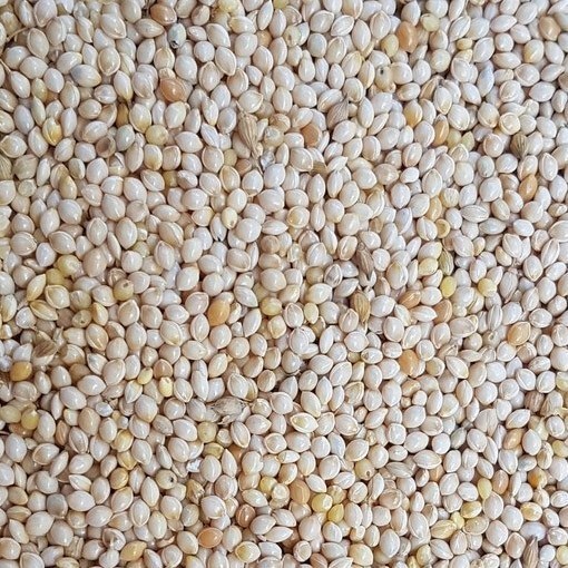 White millet bird seeds-950gm