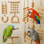 Bird's Toys