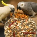 Mixed Seeds For Birds