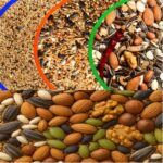 Seeds For Birds