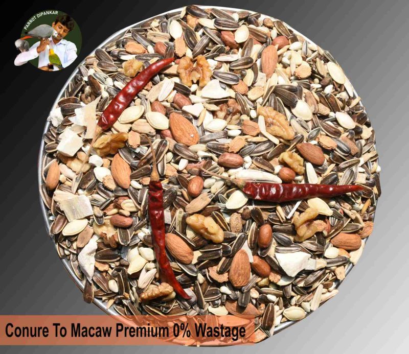 Macaw To Conure Premiu mix seed 0% Wastage-950gm