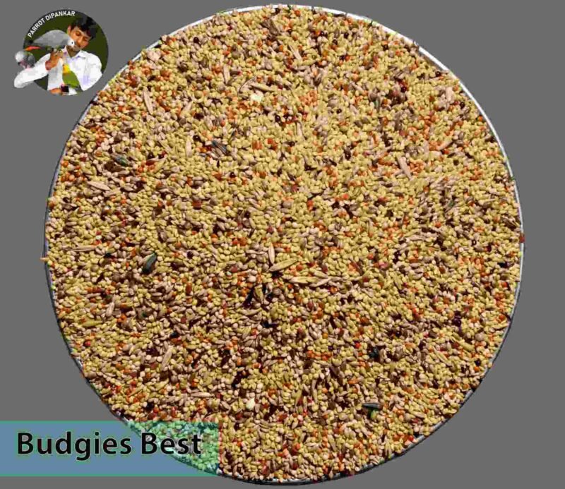 Budgies Best Mix Seeds 4.750kg