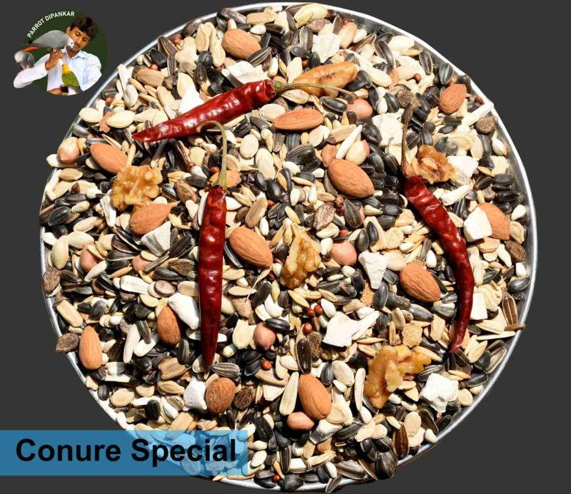 Conure Specia Mix Seed- 950gm