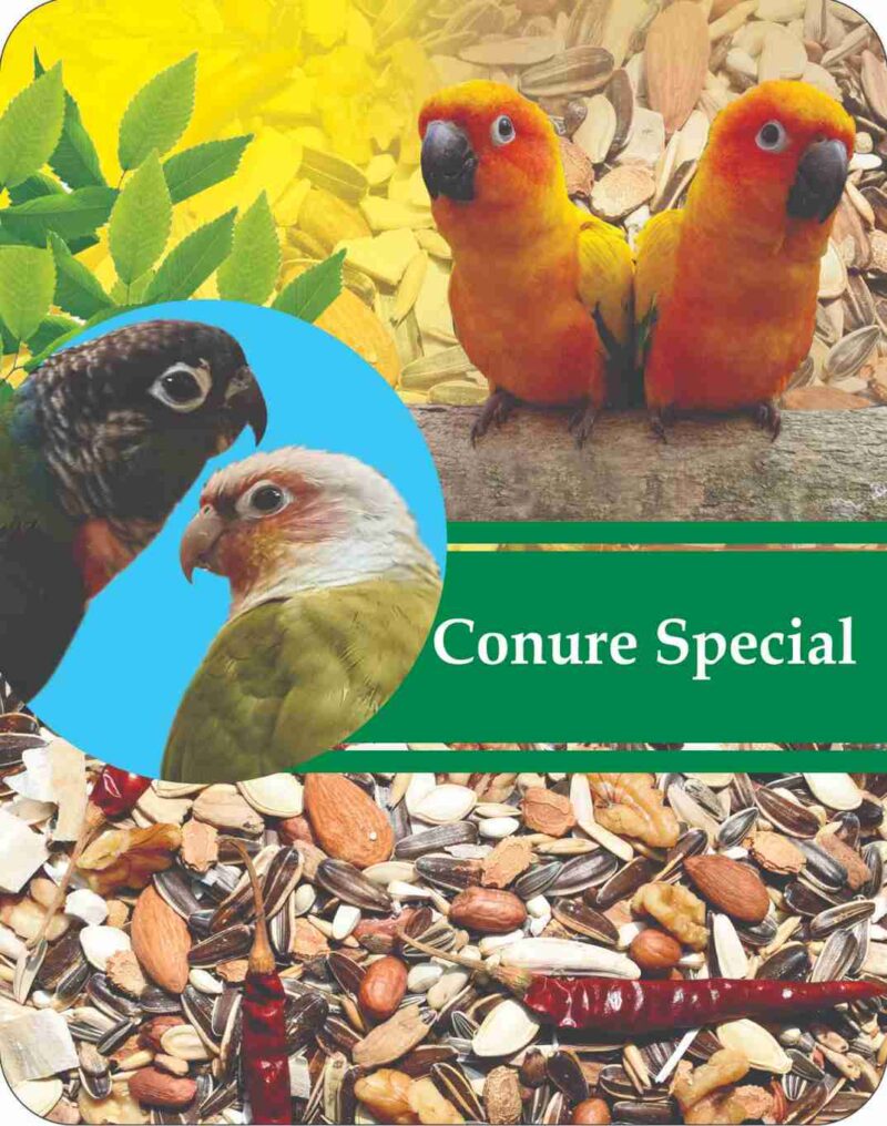 conure