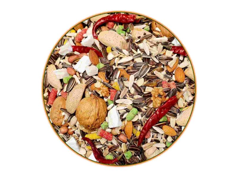 Big Parrot With Shell Standard Quality Seed –4.750kg